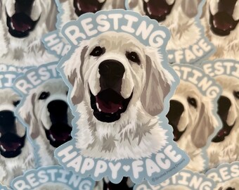 Resting Happy Face, English Cream Golden Retriever, Golden Retriever Stickers, Pet Stickers, Dog Stickers, Waterproof Stickers, Dog Lover