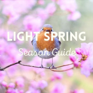 Light Spring Season Guide
