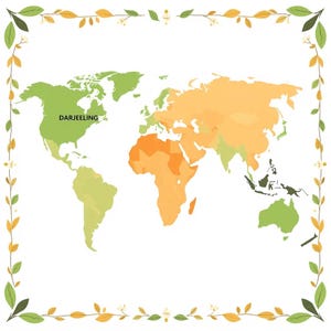May include: A world map illustration featuring continents in shades of green and orange, framed by a border of green leaves and small yellow flowers. The word DARJEELING is printed in black capital letters over the North American continent area.