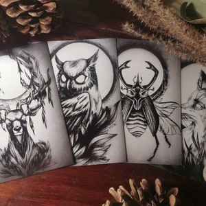 Print A6, format carte postale, "Au clair de lune - Série 1" : Cerf, Hibou, Scarabée, Renard. Unité ou lot de 4.