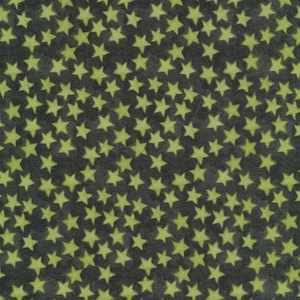 Halloween Whimsy Cotton Fabric C11824-Green Designed By Teresa Kogut For Riley Blake Designs