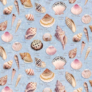 May include: A blue background with a variety of seashells, including a Queen Scallop, a Calico Scallop, a Baby Deep Scallop, a Fan Scallop, a Junonia, a True Tulip, a Striped Voluta, a Common Cockle, a Zebra Volsta, a Partridge Tun, a Banded Tun, a Marlin Spike, a Tropical Whelk, a Turret Auger, and a Shark Eye. The shells are painted in a watercolor style.