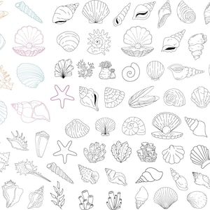 Puede incluir: Una colección de dibujos en blanco y negro de varios tipos de conchas marinas. Los dibujos incluyen diferentes tipos de conchas, como almejas, ostras y caracoles.