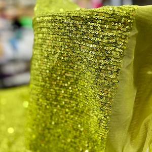 Puede incluir: Primer plano de una tela verde lima con lentejuelas. Las lentejuelas están dispuestas en una línea vertical, creando un efecto brillante.