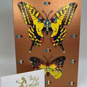 Bronze Golden Butterflies