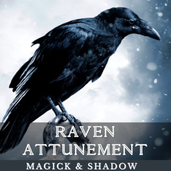 Spirit Raven Attunement ~ Raven Totem ~ Magic & Shadow Side