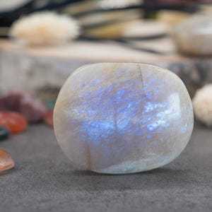 May include: A polished, oval-shaped moonstone with a pearly white base and iridescent blue flashes. The gemstone is smooth and rounded, with a subtle sheen. Other colorful tumbled stones are scattered in the background.