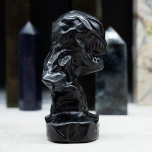 May include: A black sculpture of a creature's head with a detailed, textured surface. The sculpture is set against a backdrop of various crystal obelisks in shades of blue, green, and gray.
