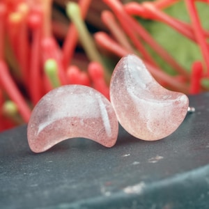 Pode incluir: Um par de brincos de botão em forma de crescente. Os brincos são rosa translúcido com um brilho sutil. Os brincos são fixados em pinos de prata. O fundo apresenta caules de plantas vermelhas e verdes.