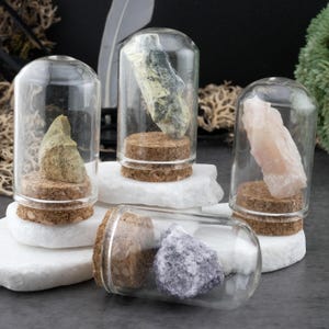 May include: Four glass cloches with cork bases, each containing a different mineral specimen. The specimens include a light green, a pale pink, a dark green, and a purple stone. The cloches sit on white, irregularly shaped platforms.