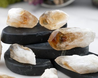 May include: A collection of raw citrine crystals, showcasing a range of golden and translucent hues. The crystals are displayed on small, black, oval-shaped stones, creating a contrast in color and texture. The arrangement suggests a focus on natural gemstones.