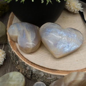 以下が含まれることがあります： 虹色の青と白の色合いを持つ、ハート型のムーンストーンの結晶が2つ。素朴な木の輪切りに展示されています。背景には黒い鉢と装飾用の花があります。
