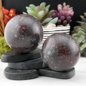 Könnte beinhalten: Zwei dunkelrote und grau gesprenkelte Steinkugeln liegen auf einem Stapel schwarzer, gebogener Steinstücke. Die Kugeln haben eine polierte Oberfläche und ein natürliches Aussehen. Der Hintergrund umfasst Topf-Sukkulenten.