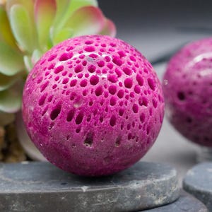 Könnte beinhalten: Zwei magentafarbene Kugeln, eine mit poröser Textur und die andere glatt, liegen auf dunkelgrauen Steinen. Die Kugeln befinden sich neben einer Sukkulenten-Anordnung mit grünem und violettem Laub.