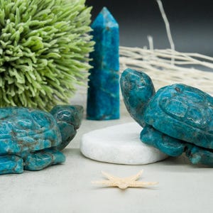 Puede incluir: Dos esculturas de tortugas de color azul turquesa talladas en amazonita, un tipo de piedra preciosa. Las tortugas están sentadas sobre una roca blanca con una concha y una estrella de mar cerca.