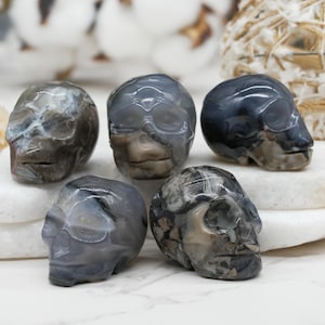 May include: Five carved stone skulls in shades of grey, brown, and white are arranged on a white surface. The skulls have detailed features and a polished finish, showcasing the natural patterns of the stone.
