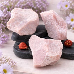 May include: Four rough, light pink rose quartz stones rest on black, oval-shaped stones. The rose quartz is a soft, opaque pink. Dried red seed pods and purple flowers are scattered around the stones.