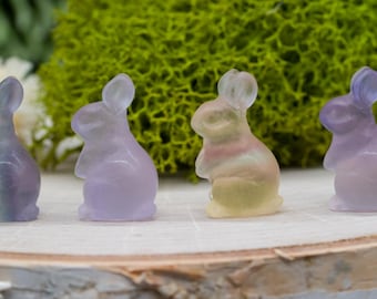 Mini Rainbow Fluorite Crystal Bunny Rabbit Carving Stone Healing Protection Trinket Tray Home Decor Figurine Animal Small Fairy Garden Decor