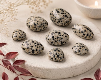 Natural Dalmatian Stone Crystal Tumble Pocket Worry Stone Crystal Healing Protection Altar Chakra Meditation Trinket Tray Home Decor Gift