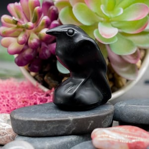 Natural Black Obsidian Crystal Raven Carving Bird Figurine Spiritual Healing Protection Gemstone Trinket Black Altar Tray Dark Decor Gift