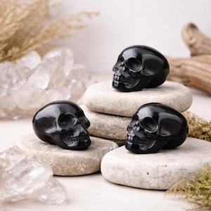 May include: Three polished black skull figurines rest on light gray stones. The skulls are positioned at different angles, showcasing their detailed features. The background includes crystals, dried plants, and a piece of driftwood.
