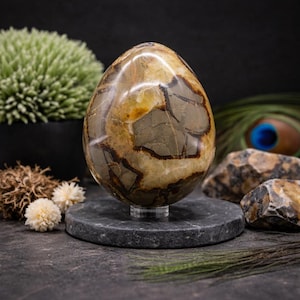 Natuurlijke Septarian Crystal Egg UV-reactieve steen Spirituele genezing Kristalbescherming Meditatie Gloeiende energie Dragon Stone Home Decor Gift