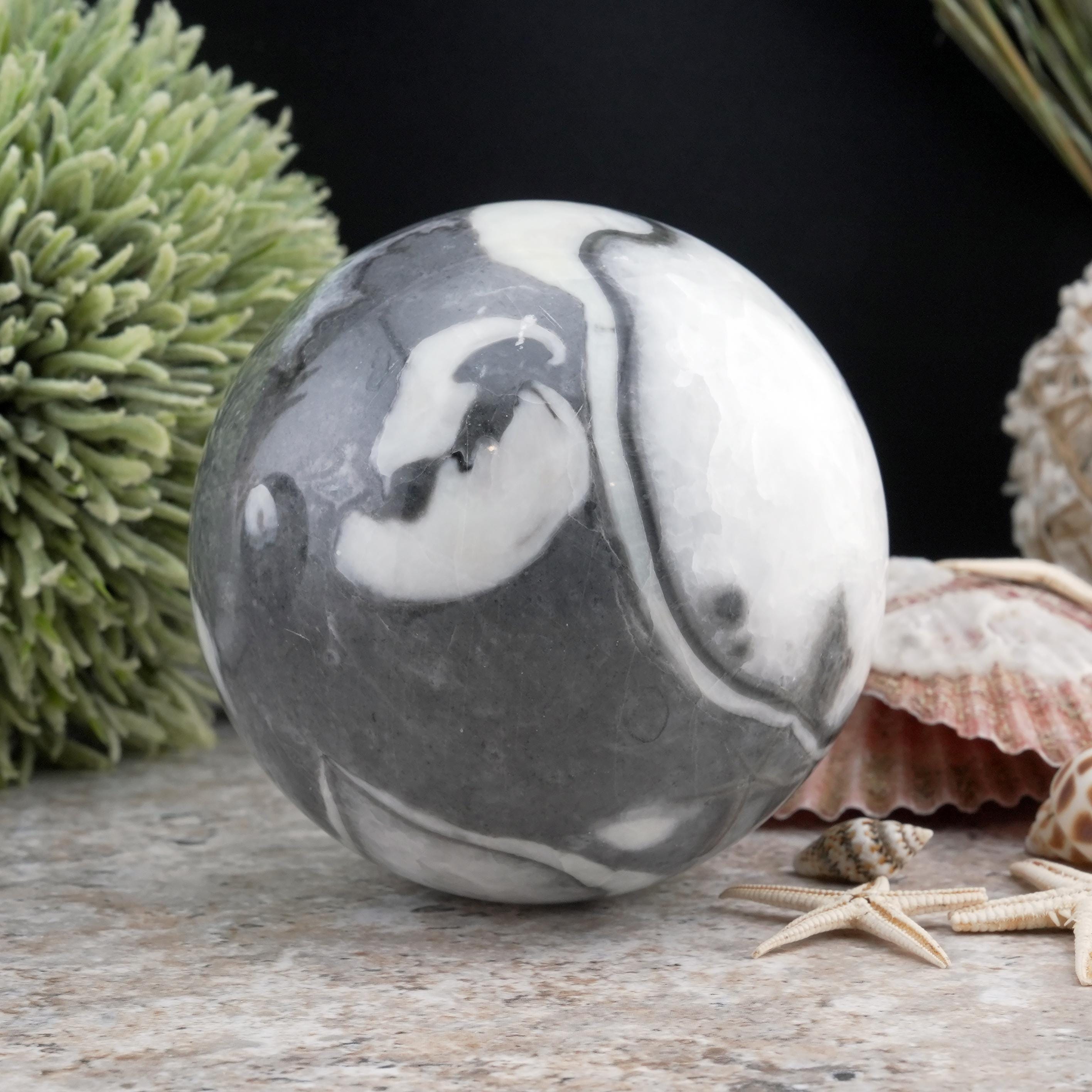 Zen Shell Decor Natural Shell Stone Quartz Sphere Crystal Ball Zen Decor Spiritual ...