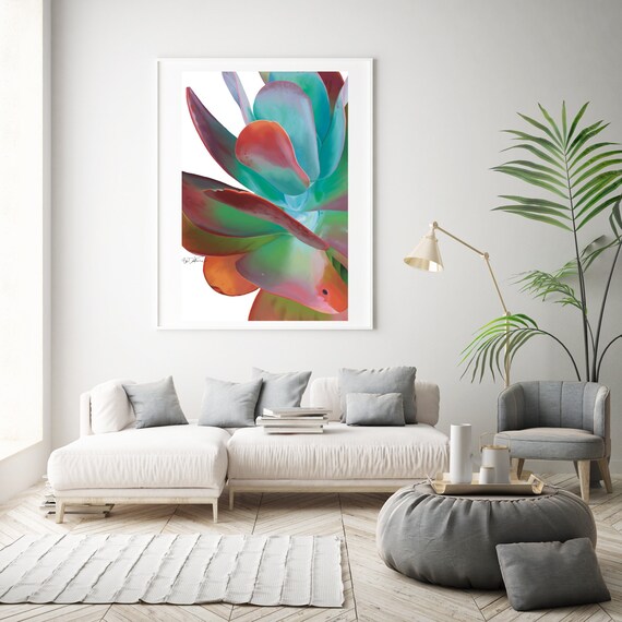 Colorful Succulent Art Print Signed UNFRAMED Digital - Etsy