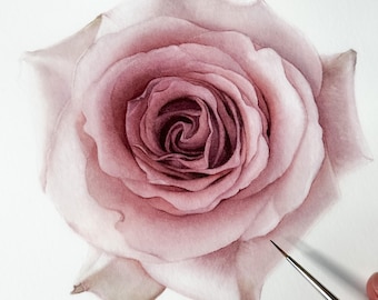 Rose Flower Watercolor Tutorial in English: Step-by-Step Video Class. Downloadable Painting Guide with Tips for Beginners, Advanced Artists.