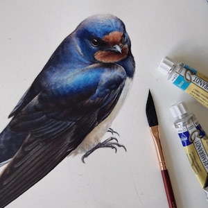 Zelfstudie aquarel slikken in NL: stap voor stap een vogel schilderen | Online les met uitleg | Downloadbare videocursus Draw a Bird