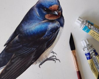 Swallow Watercolor Tutorial in EN: Paint a Bird Step by Step | Online Class with Explanations | Downloadable Video Course Draw a Bird