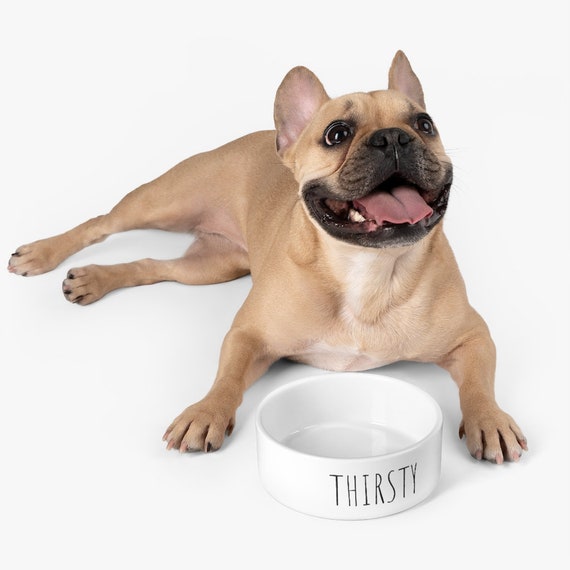 THIRSTY - Pet Bowl