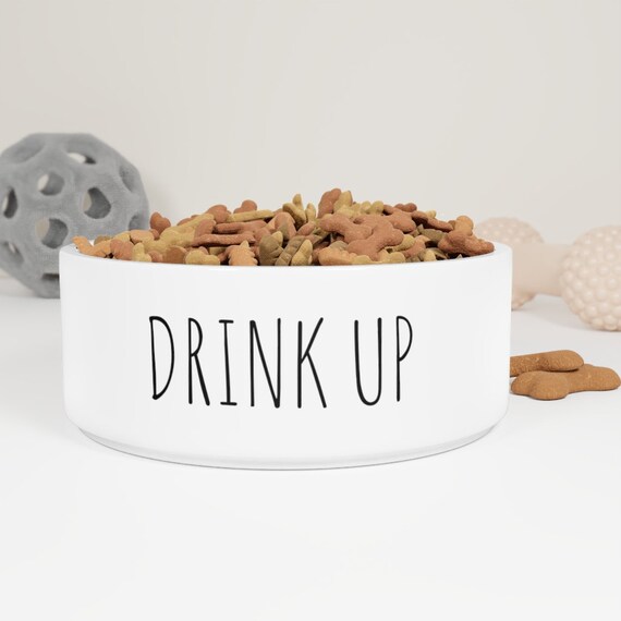 DRINK UP - Pet Bowl
