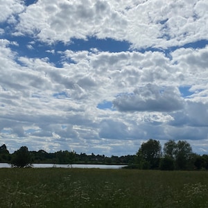 The walk