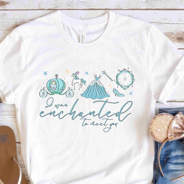 I Was Enchanted to Meet You | Disney Cinderella Shirt | Taylor Swift Lyrics Shirt | Cinderella Taylor Swift Tee | Disney Taylor Swift
