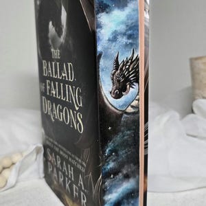 The Ballad of Falling Dragons boek schilderij/handgeschilderd!