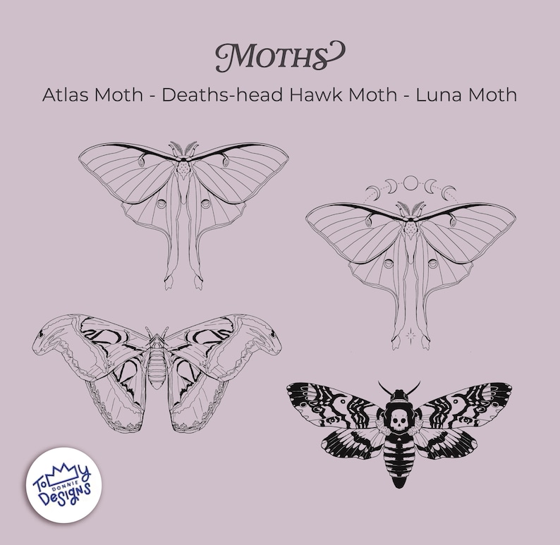 May include: A digital illustration featuring four detailed moth designs in black and white. The image includes an Atlas Moth, a Deaths-head Hawk Moth, and a Luna Moth, with the word "MOTHS" at the top. The background is a soft lavender color.