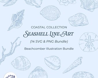 Seashell Line Art Clipart Bundle | Coastal Ink Drawing, Nautical SVG (Digital Download)