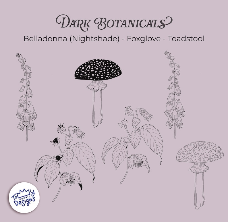 May include: Line art illustration of dark botanical elements, including belladonna, foxglove, and toadstools. The design features detailed drawings of plants and mushrooms with a vintage aesthetic, set against a muted purple background.