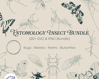 Entomology Insect Clipart SVG PNG Bundle | Moths Beetles Bug Line Art | Tattoo Stencil Cricut Digital Download