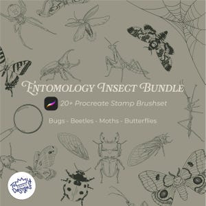 Può includere: Una collezione digitale intitolata Entomology Insect Bundle che include 20+ Procreate Stamp Brushset. La grafica mostra illustrazioni a linee di vari insetti, tra cui coleotteri, falene, farfalle, un ragno e una mantide su uno sfondo grigio.