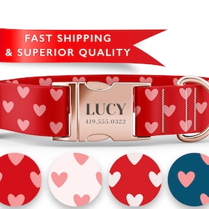 Valentines Dog Collar, Girl Dog Collar, Personalized Dog Collar, Heart Dog Collar, Custom Dog Collar, Valentines Day Collar, Dog tag