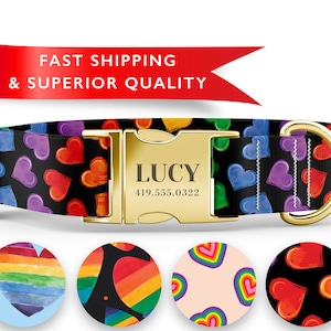 May include: A black dog collar with a gold buckle and a rainbow heart pattern. The buckle is engraved with the name "LUCY" and the phone number "419.555.0322".