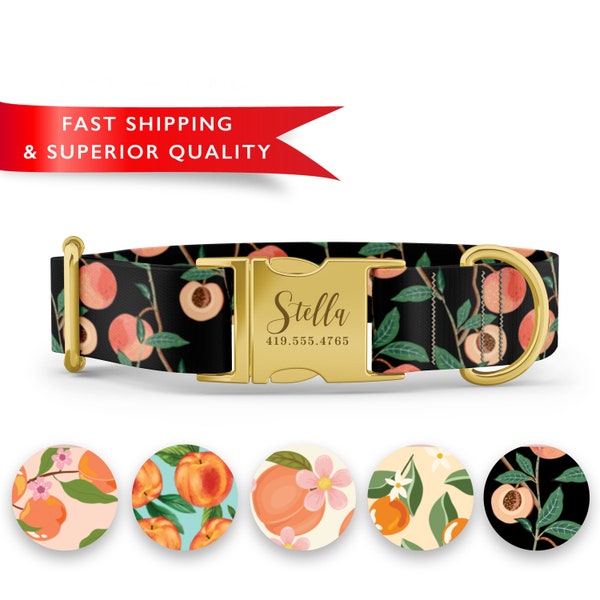 Goober Dog Collar Etsy