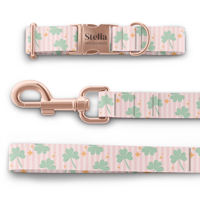 K&ouml;nnte beinhalten: Ein pinkfarbenes und gr&uuml;nes Hundehalsband und eine Leine mit einer ros&eacute;goldenen Schnalle und einem Karabinerhaken. Das Halsband hat ein personalisiertes Namensschild mit der Aufschrift "Stella 419.555.0322". Das Muster zeigt gr&uuml;ne vierbl&auml;ttrige Kleebl&auml;tter und goldene Sterne auf einem rosa-wei&szlig; gestreiften Hintergrund.