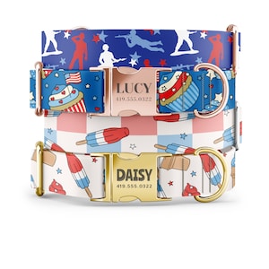 4th of July Patriotic Army Man Cupcake Popsicle and Ice Cream Party Personalized Dog Collars, Martingale style available