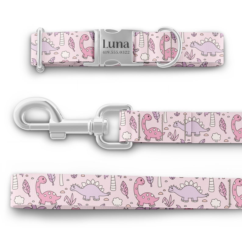 May include: Pink dog collar and leash with a dinosaur pattern. The collar has a silver buckle with the name "Luna" and a phone number engraved on it.