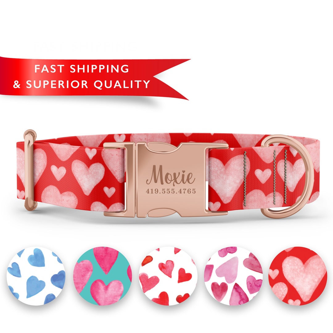 Valentines Dog Collars, Watercolor Heart Dog Collar, Cute Girl Dog