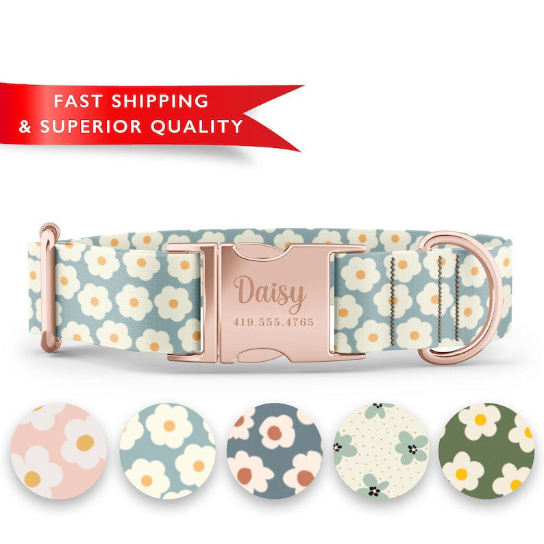 K&ouml;nnte beinhalten: Ein hellblaues Hundehalsband mit einem wei&szlig;en G&auml;nsebl&uuml;mchenmuster und einer ros&eacute;goldenen Schnalle. Die Schnalle ist mit dem Namen "Daisy" und einer Telefonnummer graviert. Das Halsband wird mit f&uuml;nf verschiedenen Farboptionen f&uuml;r das G&auml;nsebl&uuml;mchenmuster gezeigt.