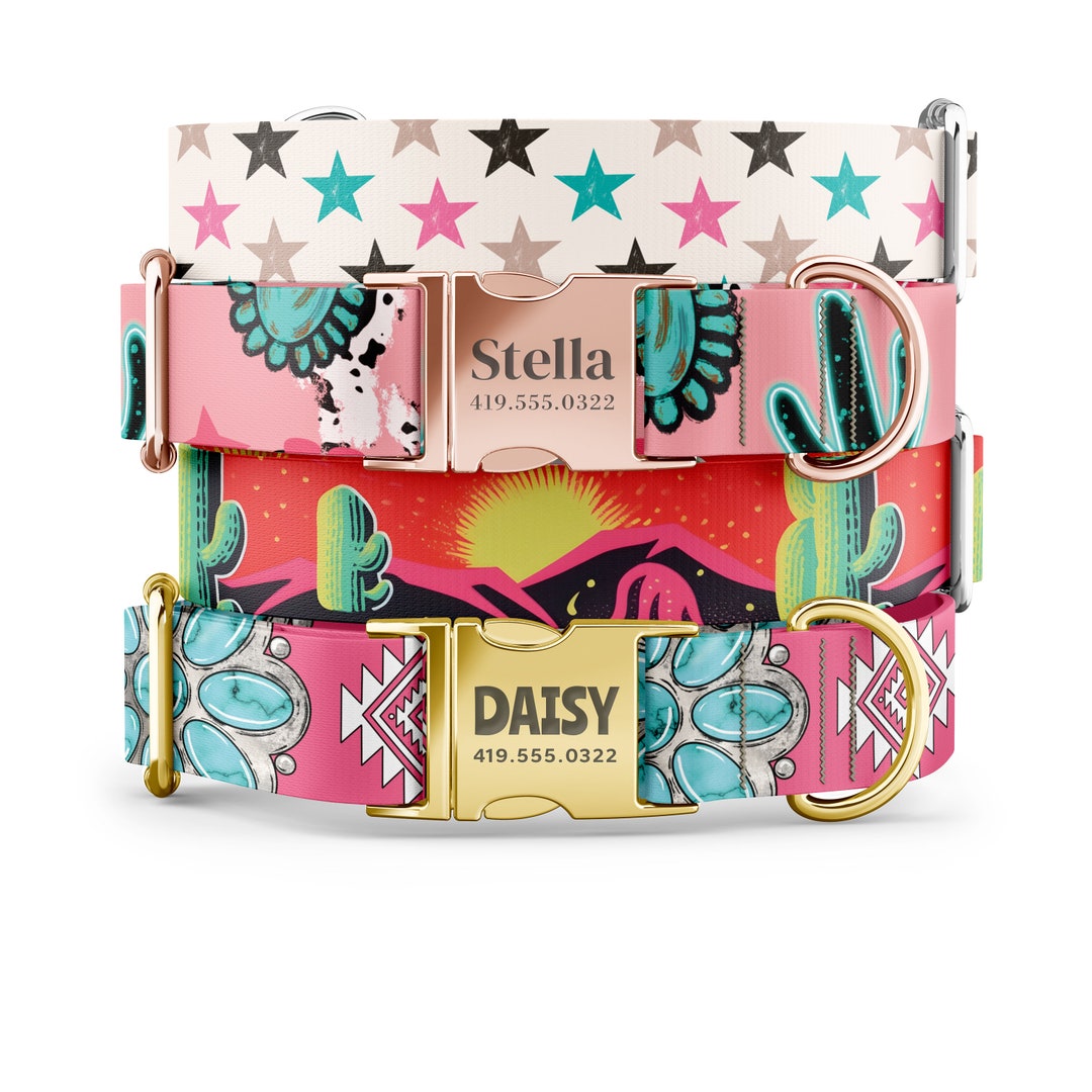 Wendy Collar